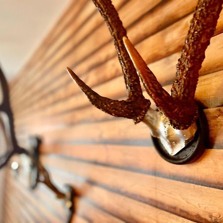 Homelikestay: Ferienwohnungen - Wernigerode - Wlan - Bestlage - Liebevolle Einrichtung Kültér fotó